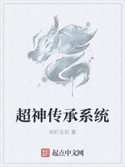 񴫳ϵͳ